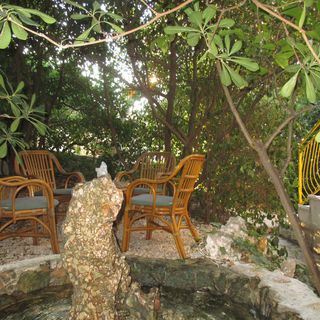 Apartmanok A Tenger Mellett Ivan Dolac, Hvar - 4584 Ivan Dolac (4)