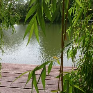 Levendula Apartmanház Gyomaendrőd (5)