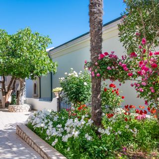 Apartmanok Parkolóhellyel Povljana, Pag - 233 Povljana (3)