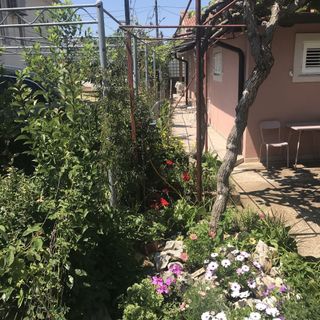 Apartmanok Parkolóhellyel Umag - 7126 (4)