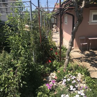 Apartmanok Parkolóhellyel Umag - 7126 (4)