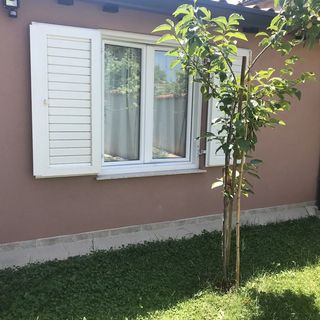 Apartmanok Parkolóhellyel Umag - 7126 (5)