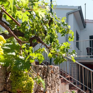 Apartmanok A Tenger Mellett Mimice, Omis - 2972 Mimice (4)