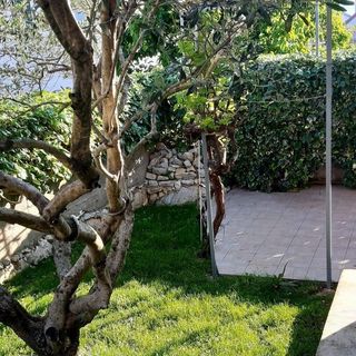 Nyaralóház A Tenger Mellett Pasman - 870 Pašman (5)