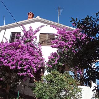 Apartmanok A Tenger Mellett Basina, Hvar - 4620 Basina (3)