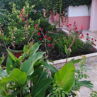 Apartmanok Parkolóhellyel Kraj, Pasman - 819 Kraj (5)