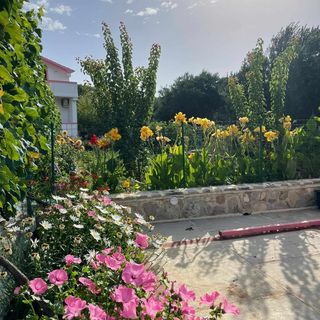 Apartmanok Parkolóhellyel Kraj, Pasman - 819 Kraj (4)