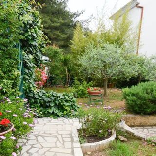 Apartman Danica Pula (3)