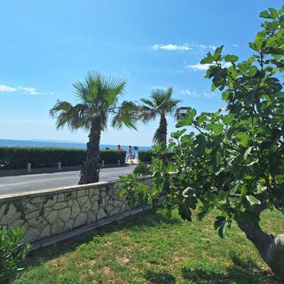 Apartmanok A Tenger Mellett Novalja, Pag - 9326 Novalja (4)