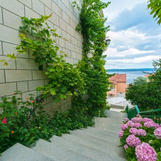 Apartmanok és Szobák A Tenger Mellett Brela Makarska - 2752 (5)