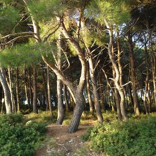 Apartman Lina Pula (5)