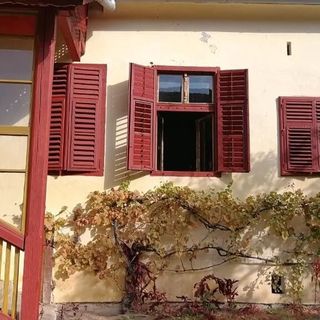 Casa de oaspeți Arthur Richiș (4)