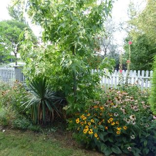 Erdélyi Vendégház Zamárdi (2)