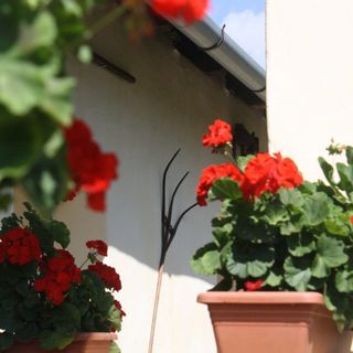 Karát-lak Vendégház Gersekarát (3)