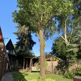 Réka II Vendégház Békésszentandrás (3)