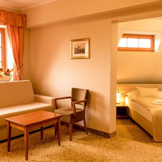 Hotel Vítkova Hora Karlovy Vary (3)