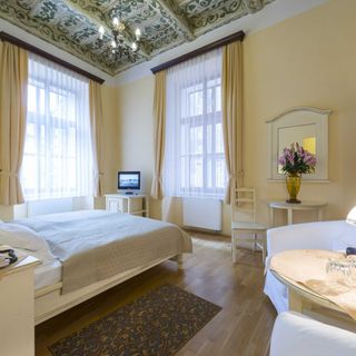 Hotel Černý slon Praha (4)