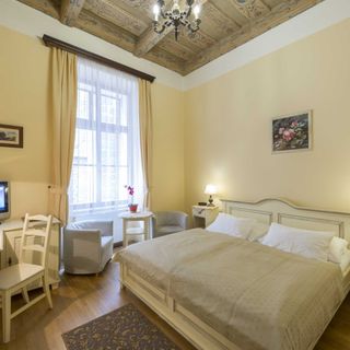 Hotel Černý slon Praha (5)