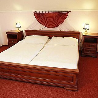 EXCELLENT HOTEL GARNI Praha (5)