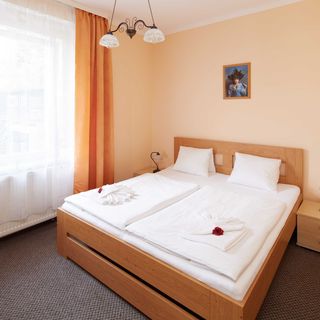 Penzion Rossini Františkovy Lázně (3)