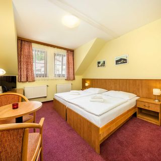 Hotel Záviš z Falkenštejna Hluboká nad Vltavou (5)