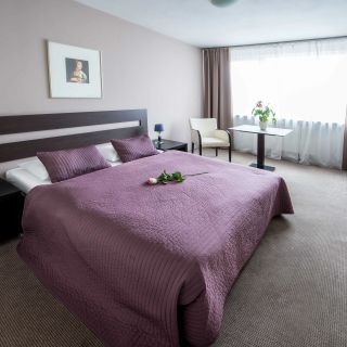 Hotel Cascade Most (3)