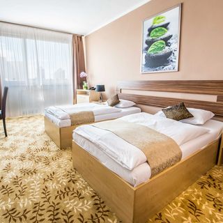 Hotel Cascade Most (4)