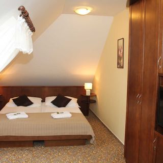 Zámecký hotel Zlatý Orel Hranice (4)