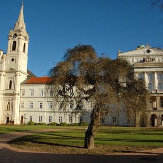 Kinga Apartman Zirc (3)