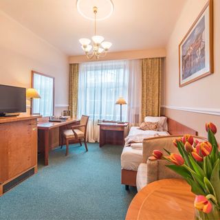 Lázeňský hotel Dr. Adler Spa & Kurhotel Františkovy Lázně (5)