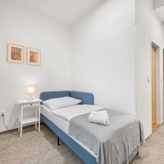 Pension PETIT Bratislava (3)