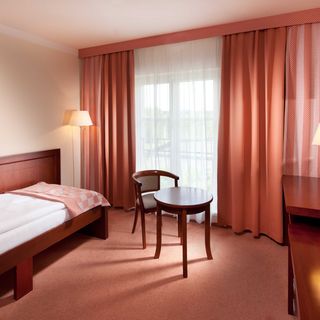 Hotel Francis Palace Františkovy Lázně (4)