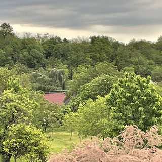 György Vendégház Magyarpolány (4)