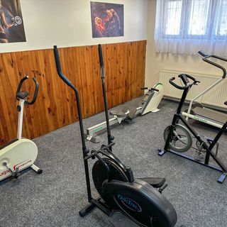 Sport Hotel Gejzírpark, Karlovy Vary (5)