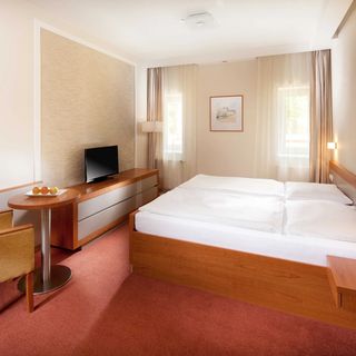 Hotel REZA Františkovy Lázně (3)