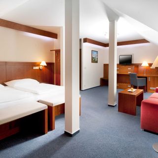 Hotel REZA Františkovy Lázně (5)