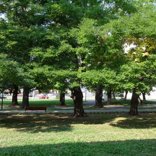 Venus Apartman Miskolc (3)