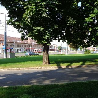 Venus Apartman Miskolc (5)