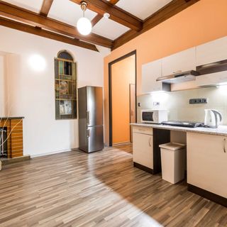 Rezidence Davids Apartments Praha (4)