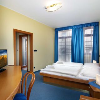 HOTEL RŮŽE Karlovy Vary (5)