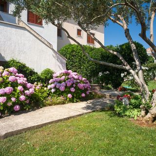 Apartment Drpic Krk (4)