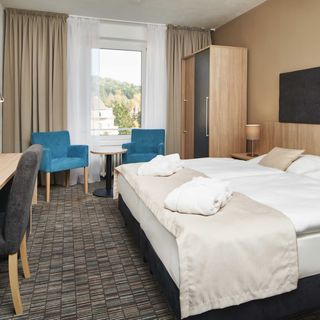 Spa Hotel Děvín Mariánské Lázně (4)