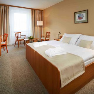 Spa Hotel Děvín Mariánské Lázně (3)