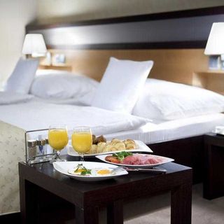 Boutique Hotel Dubná Skala Žilina II (4)