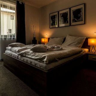 Mucha Apartments Terchová (4)