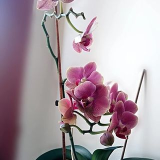 River Apartmanház Jászberény (3)