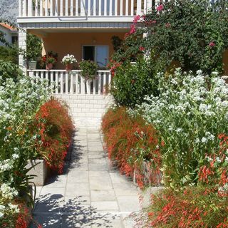 Apartmani Antonio Orebić (3)