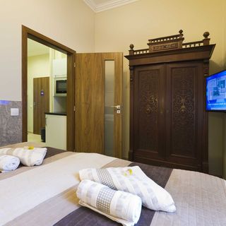 Apartment Karla Capka Street (5)