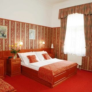 OLD PRAGUE HOTEL S.R.O. Praha (5)