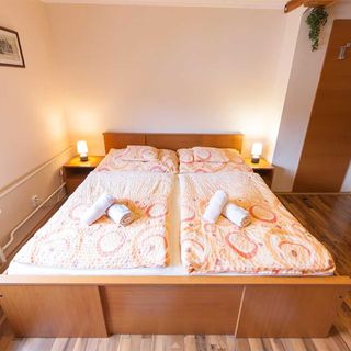 Pension Lukas - Karlovy Vary (3)